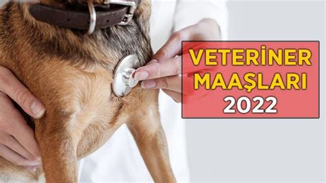 veteriner maaşları 2022